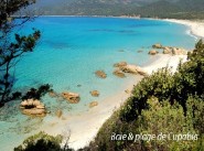 Achat vente appartement Serra Di Ferro