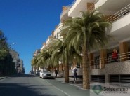 Achat vente appartement t2 Propriano