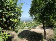 Achat vente Petreto Bicchisano