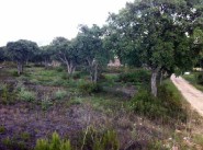 Achat vente terrain Appietto