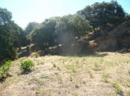 Achat vente terrain Bastelicaccia