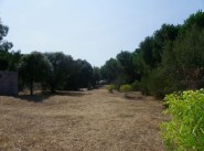 Achat vente terrain Corbara