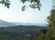 Achat vente terrain Viggianello