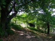Immobilier Calenzana