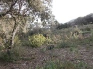 Immobilier Cargese