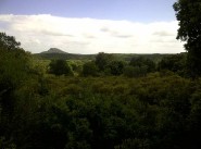 Immobilier Monacia D Aullene