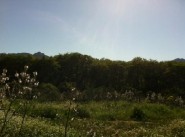 Immobilier Moncale
