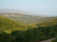 Immobilier Rutali