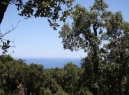 Immobilier Sari Solenzara
