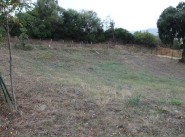 Immobilier Sollacaro