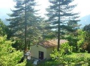 Immobilier Vivario