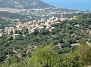Maison Aregno