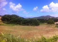 Terrain Alata