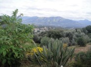 Terrain Alata