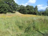 Terrain Eccica Suarella