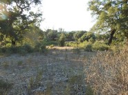 Terrain Eccica Suarella