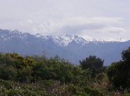 Terrain Lumio