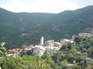 Terrain Palasca