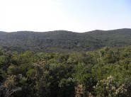 Terrain Pietrosella