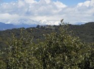 Terrain Porticcio